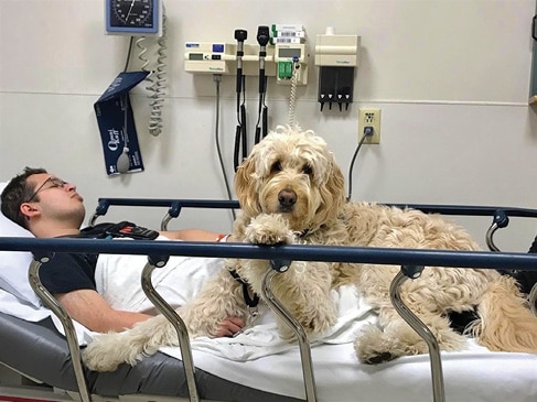 Paul Willis hospitalized, his dog is with him