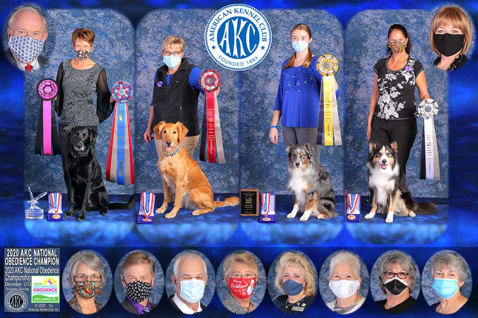 20th AKC National Championship Presented by Royal Canin