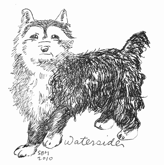 The Waterside Terrier illustration