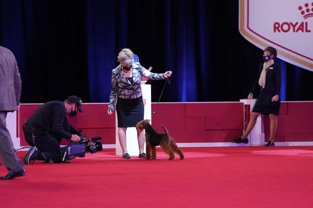20th AKC National Championship Presented by Royal Canin