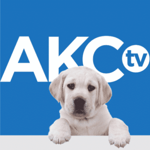 AKC.TV Announces New Hosts