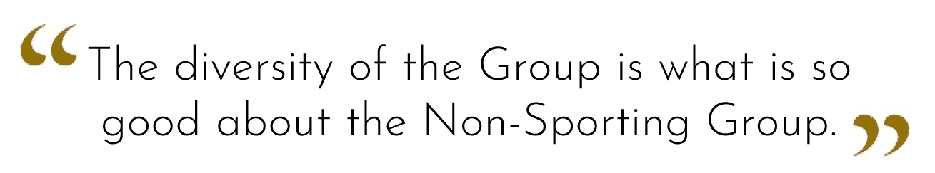 Non-Sporting Group