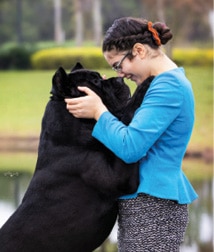 Junior Handlers Picture Of A Girl With Her Dog