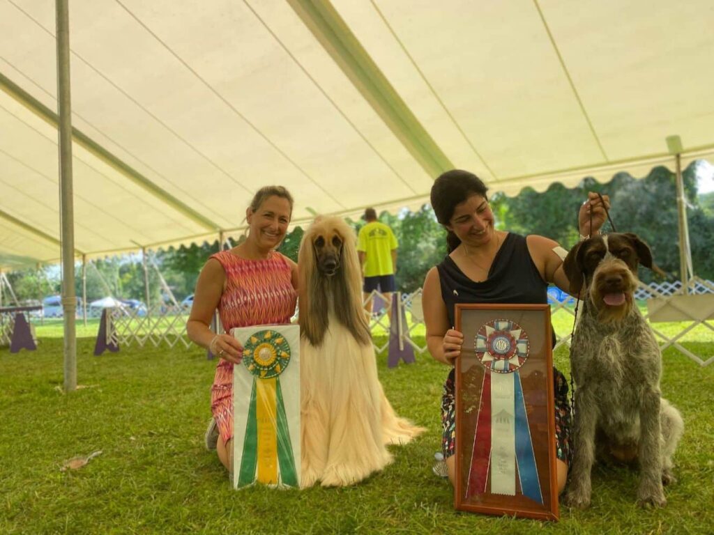 Hudson Highlands Casual Summer Dog Show