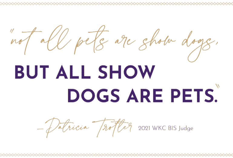 Message in form of a photo saying "Not all pets are show dogs, but all show dogs are pets. by patricia trotter 2021 WKC BIS JUDGE"
