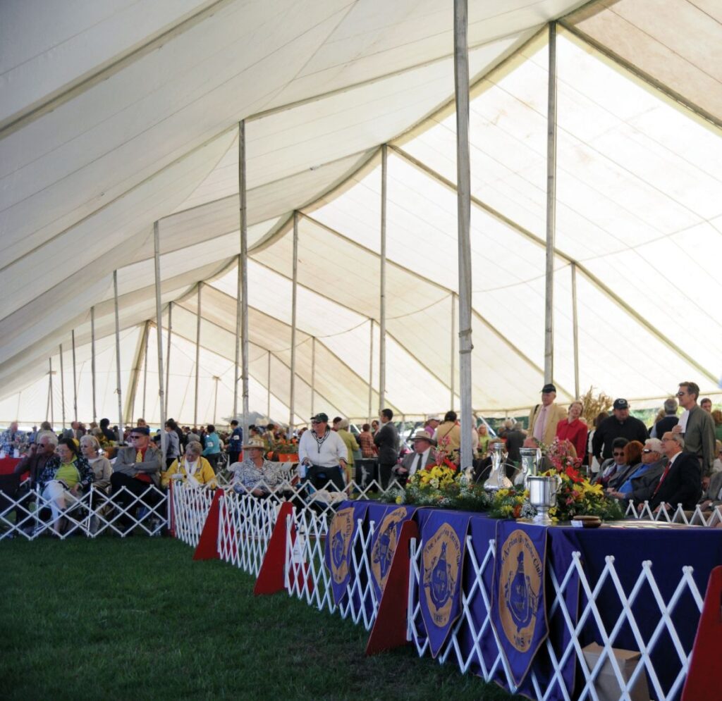 Montgomery County Kennel Club image showcasing the inside of the signature white tents.