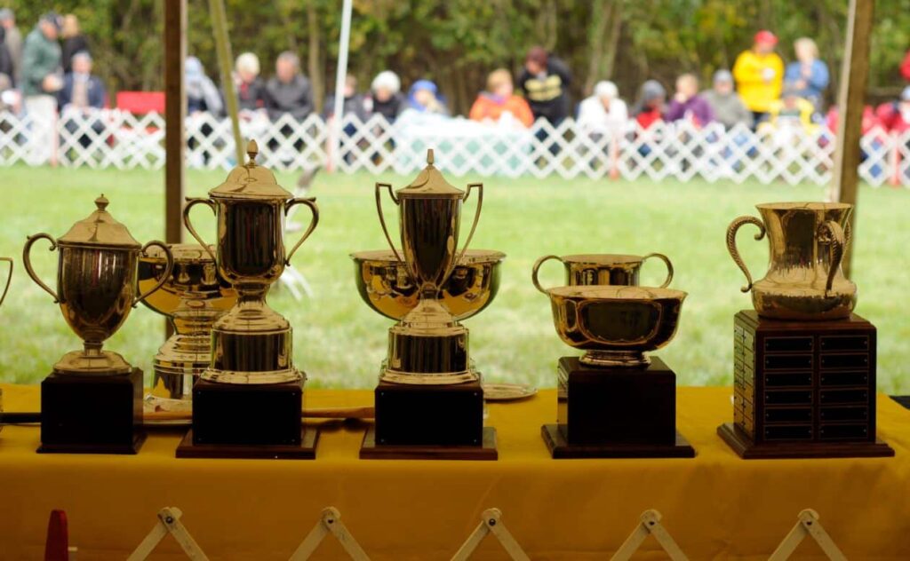 Image of a Montgomery trophy table displaying many of the show's finest treasures.