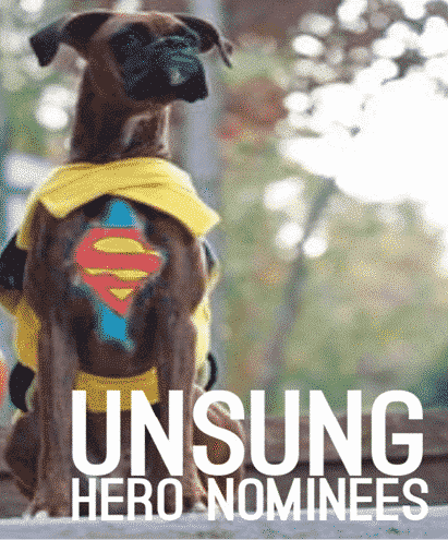 Unsung Hero Award