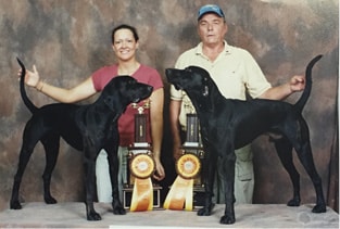 Champion littermates, CH Simmons IN Storm’s Gotcha with her littermate GCH Simmons IN DayDream’s Gotcha winning the Pairs Championship at a UKC show. 
