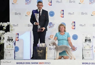 FCI World Dog Show Brno 2021