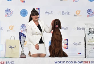 FCI World Dog Show Brno 2021
