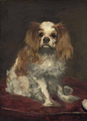 The History of the Cavalier King Charles Spaniel