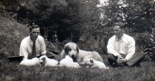 Blanchette_with_1st_litter_born_in_US__June_20_1933