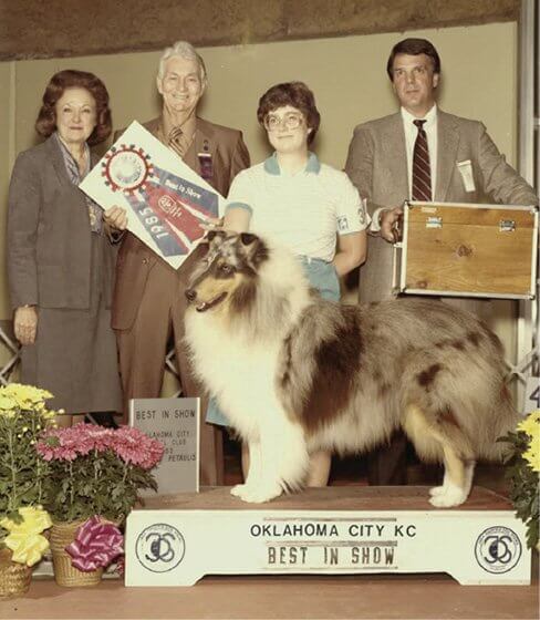 November, 1985, Oklahoma City Kennel Club: “Right Stuff Award” Honoree Larry Willeford and Pam Eddy co-owned Ch. Windrest Sundown Sensation “Decker” shown here by Pam Eddy winning Best in Show over 3,000 dogs under my father, Judge Roy L. Ayers, with my mother, Hazel Ayers.