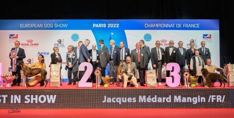European Dog Show and Championnat de France 2022