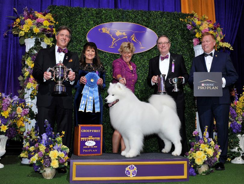 Westminster Working Group Judge Faye Strauss with Working Group Winner Samoyed