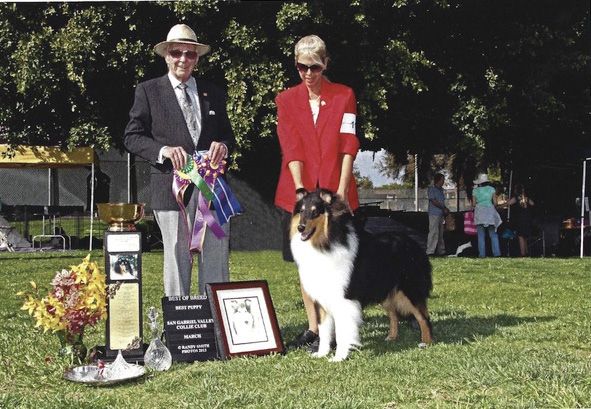 2013 - Svend enjoyed his 90th birthday retirement celebration from judging and his last BOB and BOS winners at San Gabriel Valley Club.