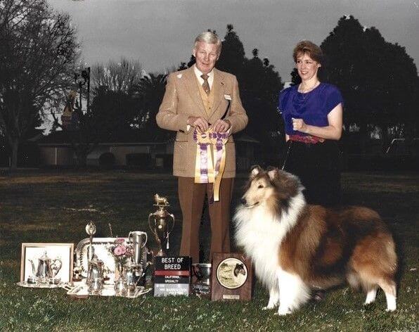 1990 – Judge Svend Jensen awards Ch. Incandescent Limited Edition BOB at the Northern California Specialty show with Janine Walker Keith handling.