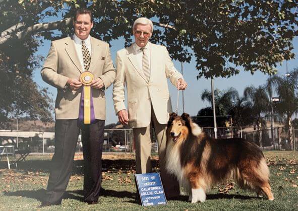 1999 - Svend Jensen, handling his Ch. Shoreham Absolutely Valley-Hi (Sandy), wins Best of Breed under judge Roy L. Ayers, Jr. at the Southern California Collie Club Specialty.