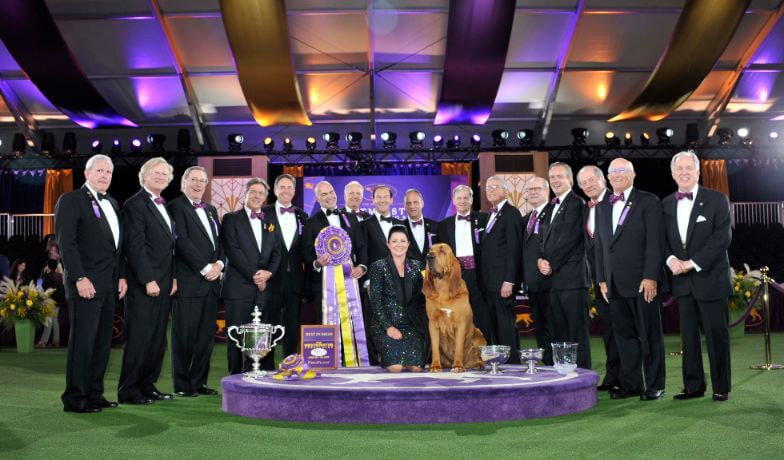 Westminster Kennel Club Dog Show 2022 