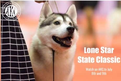 Lone Star State Classic Live Streams Only on AKC.tv