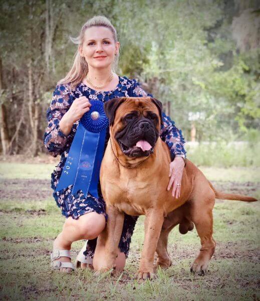 Olga Contant with her Ridgetop Bullmastif dog