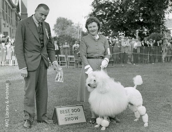 Poodle Ch. Blakeen Osprey and Hayes Blake Hoyt win Best In Show at the 1947 Eastern States Show.