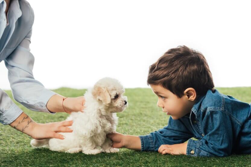 Mother and son lying on the grass, holding a havanese puppy