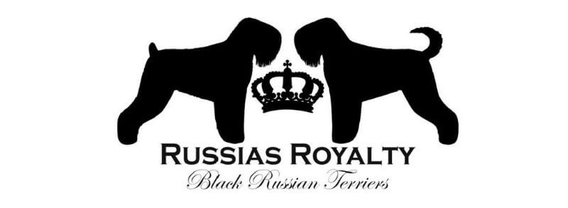 Russia's Royalty Black Russian Terriers banner