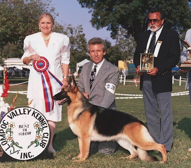 James Moses at Lompoc Valley Kennel Club dog show