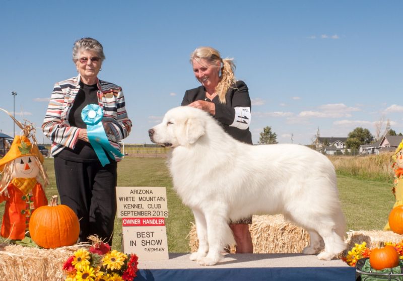 Terrie Strom winning Best in Show with her dog, Septemer 2018