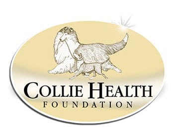 Collie Health Foundation