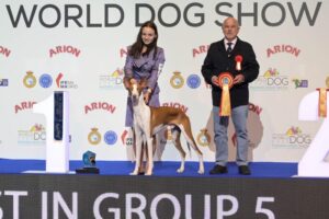 World Dog Show Madrid