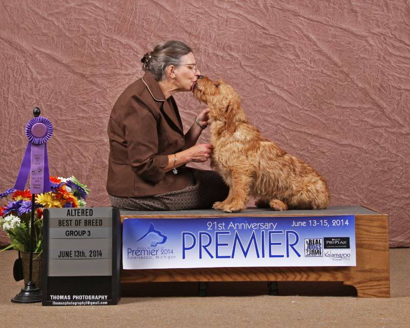 Cindy Hartman winning best of breed with her Basset Fauve de Bretagne dog, Cindy is shown kissing the dog