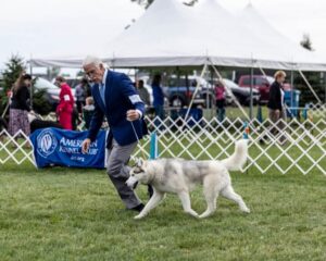 2022 Paper Cities Kennel Club Dog Show