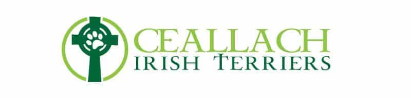 Ceallach Irish Terriers