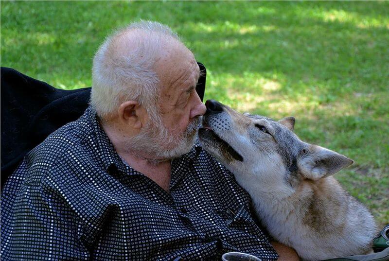 “Dedo” (Granddad) with his Czechoslovakian Vlcak dog