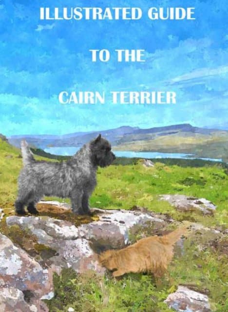 Cover of the "Illustrated Guide to the Cairn Terrier"