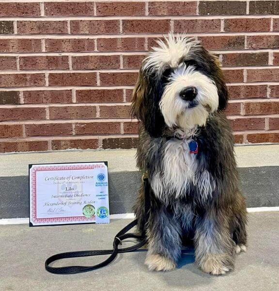 Lilo with Diploma