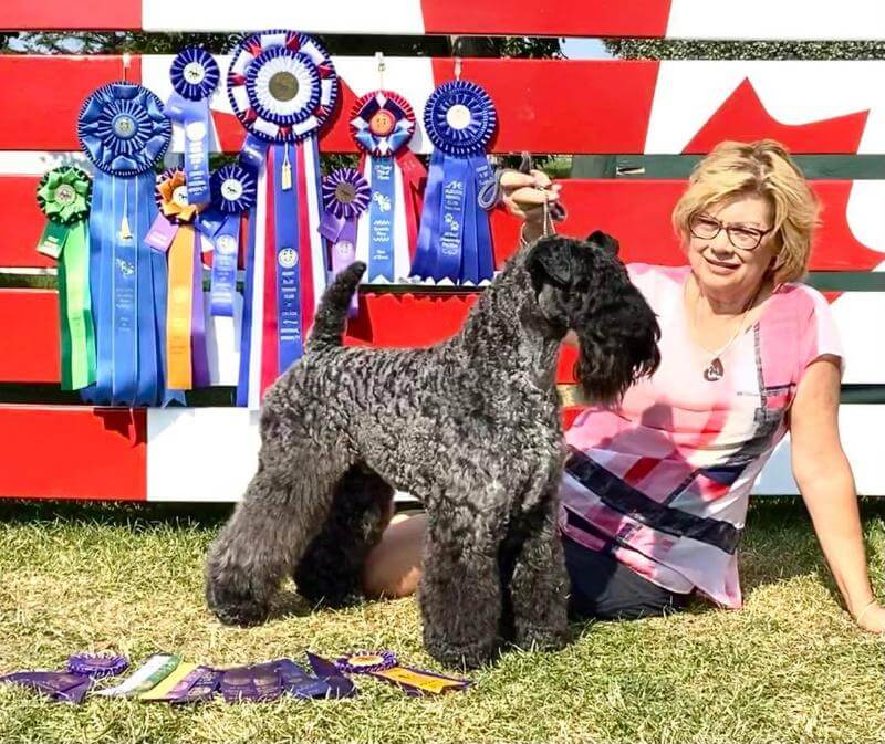 Lois Grier with her Kerry Blue Terrier