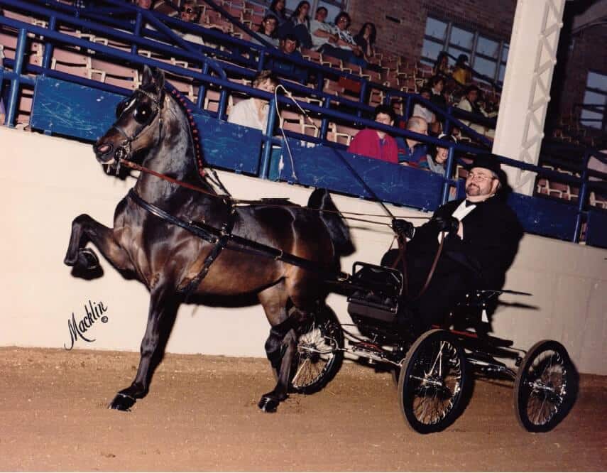 Douglas Huffman with stakes-winning Hackney Pony Jezebel