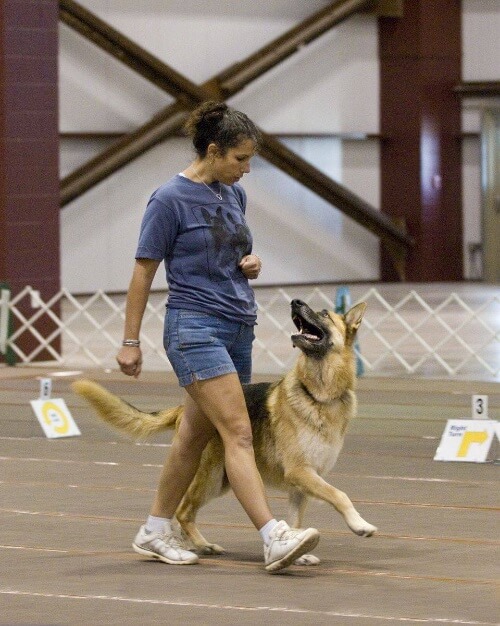 Ronda Agrue with her German Shepherd Dog ‘T-Bone’ at the GSD National Specialty