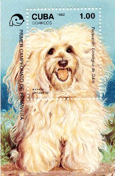 Havanese History: Cuban CH “Puppy” (1988-2002), the first Bichon Havanese Champion of Cuba, was honored on this 1992 commemorative postage stamp celebrating Cuba’s only native purebred dog.
