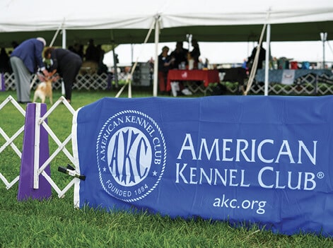 american kennel club banner