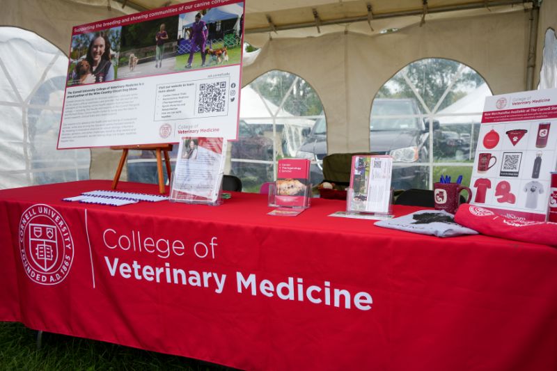 college of veterinary medicine table