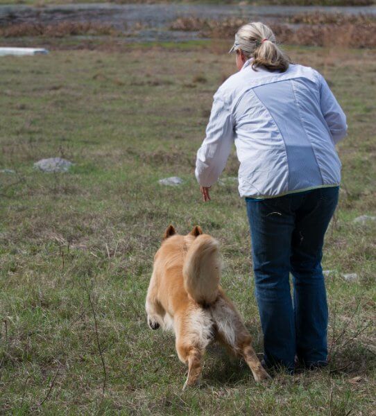 Woman with her dog at a field trial