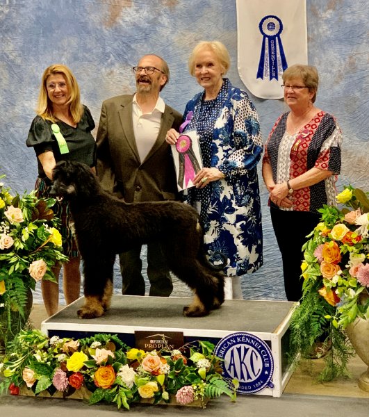 Kris Harner, GKC Show Chair, Judge Linda Ayers Turner Knorr, and Jeanette Stribling, GKC President, celebrate the occasion with Jeff Hillman and ‘Whitney.’