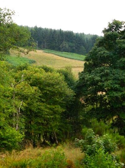 Typical landscape of the Scottish Highlands.