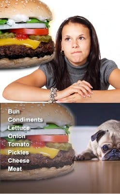 Figure 5. Scent Discrimination of a Cheeseburger: Human (top), Dog (bottom)