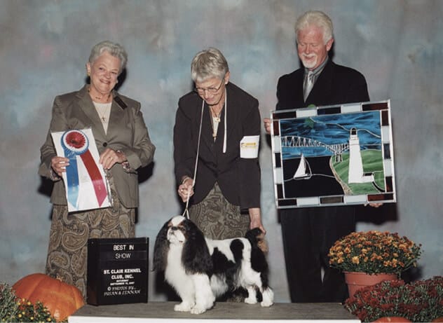 Ch. Backroads Another Adventure – bred by Karen Miller & Sue Plance & owned by Karen Miller & Jamie Ward. A Top-winning ETS all varieties all-time. Multi BIS and BISS, including the ETSCA National and the French National, and Crufts.